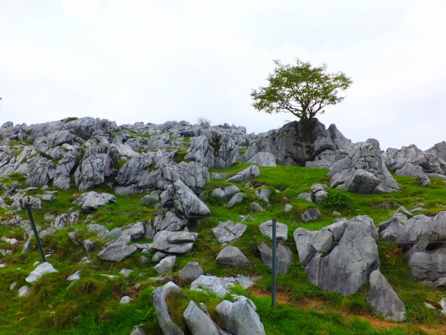 DSCF8327.JPG