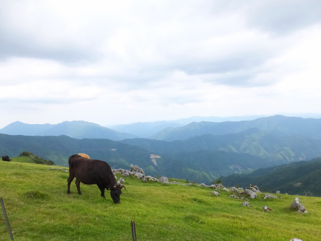 DSCF8342.JPG