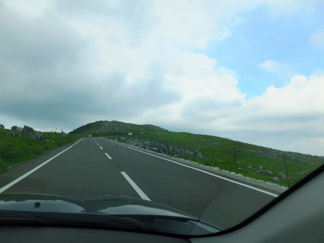 DSCF8390.JPG