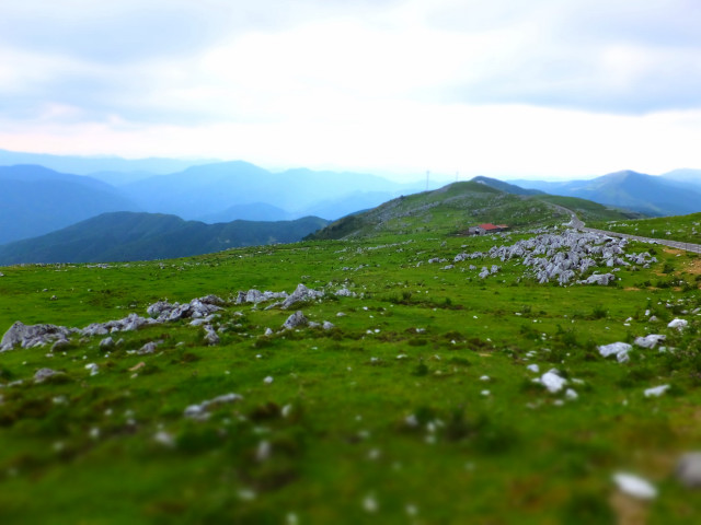 DSCF8396.JPG