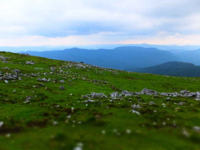 DSCF8397.JPG