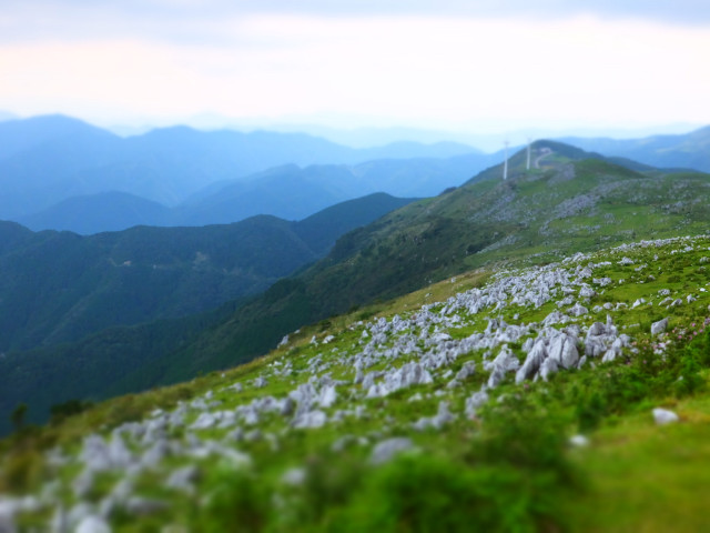 DSCF8414.JPG