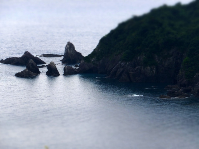 DSCF8443.JPG