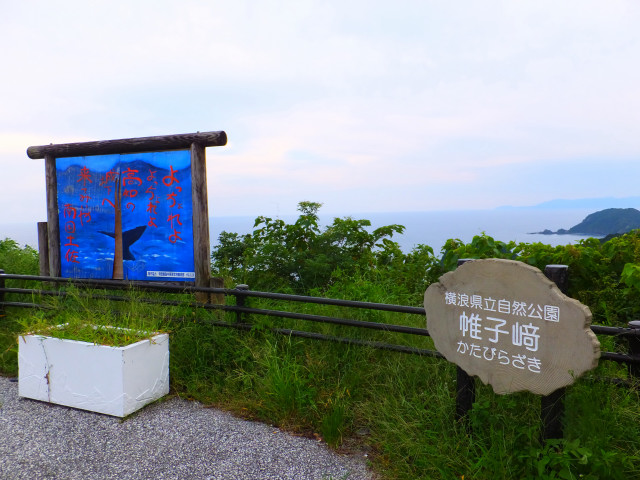 DSCF8457.JPG