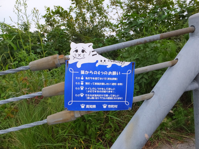 DSCF8468.JPG
