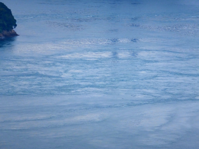 DSCF8809.JPG
