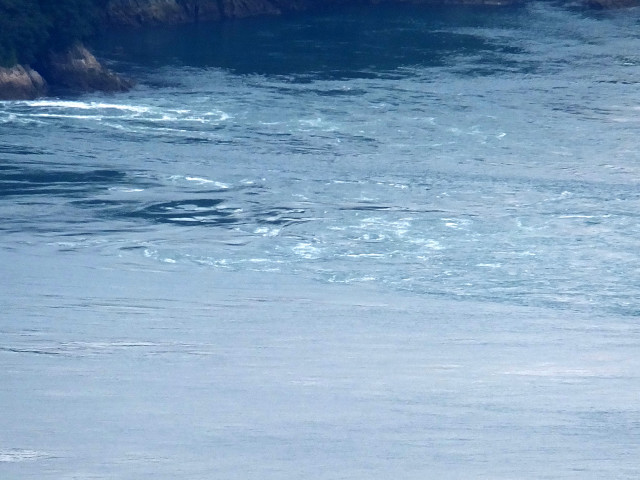 DSCF8837.JPG