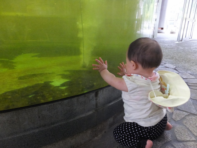 DSCF8867.JPG
