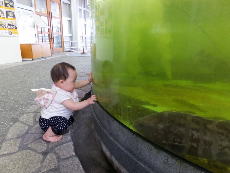 DSCF8868.JPG