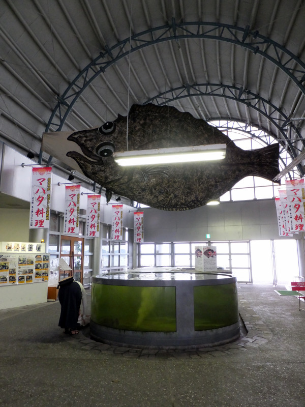 DSCF8870.JPG