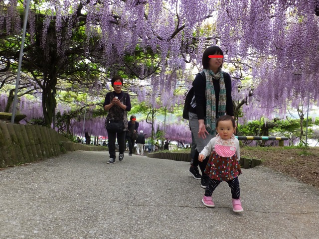 DSCF1230.JPG