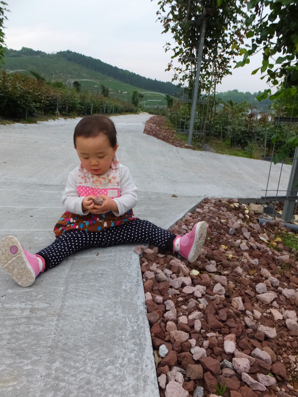 DSCF1263.JPG