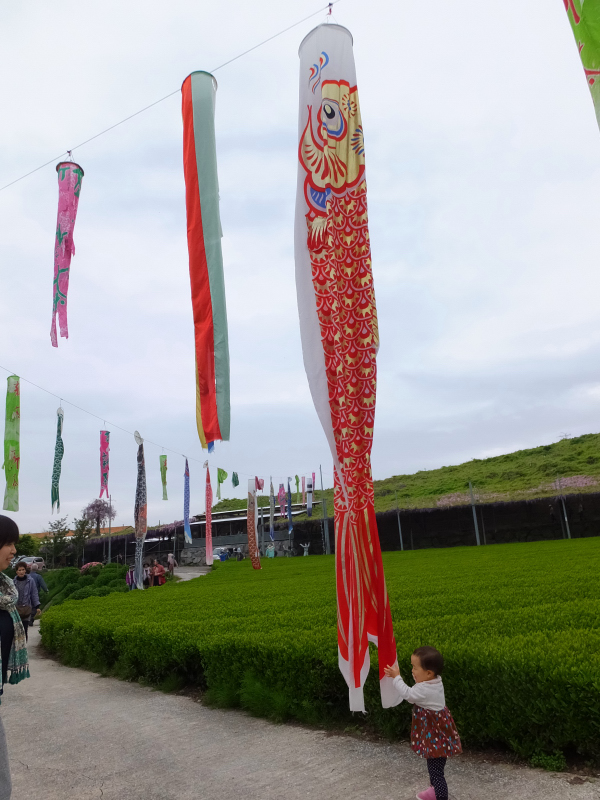 DSCF1268.JPG