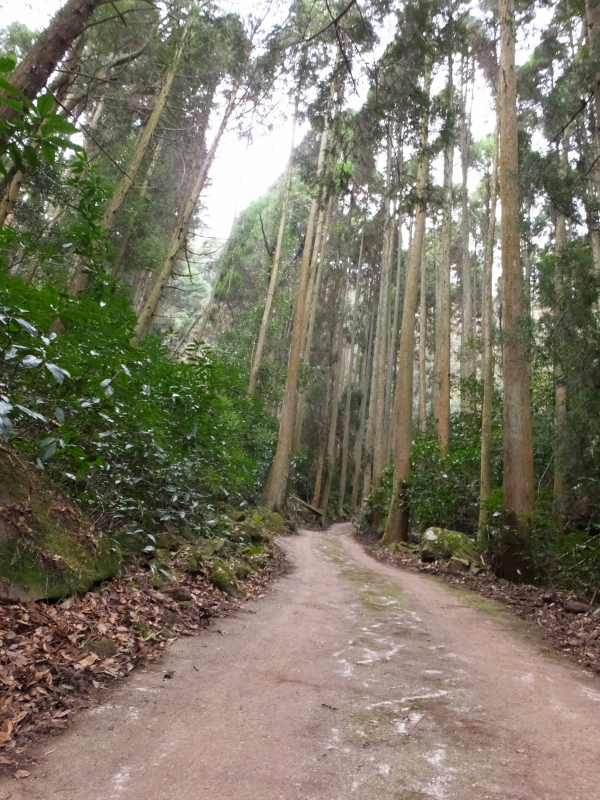 DSCF3456.JPG