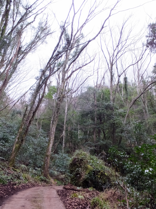 DSCF3458.JPG