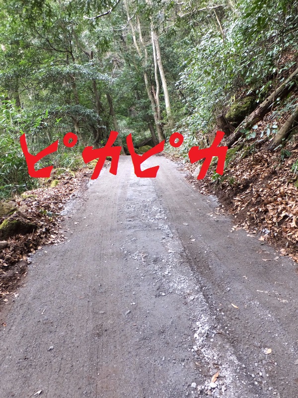 DSCF3459.JPG