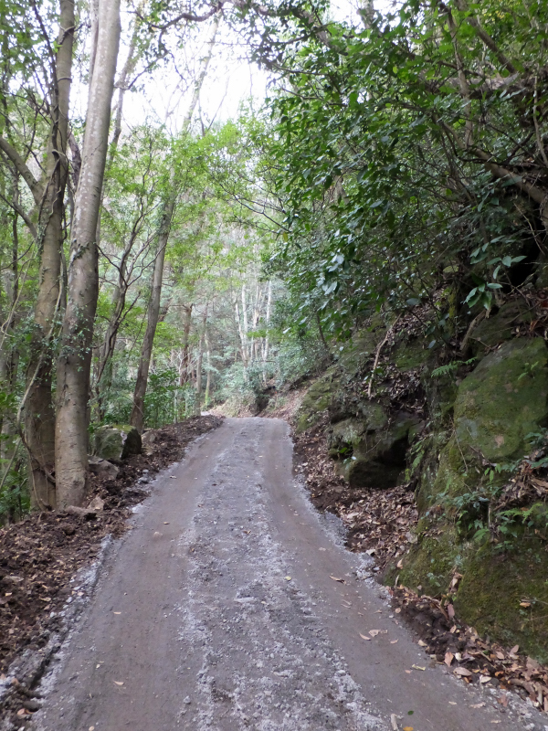 DSCF3460.JPG