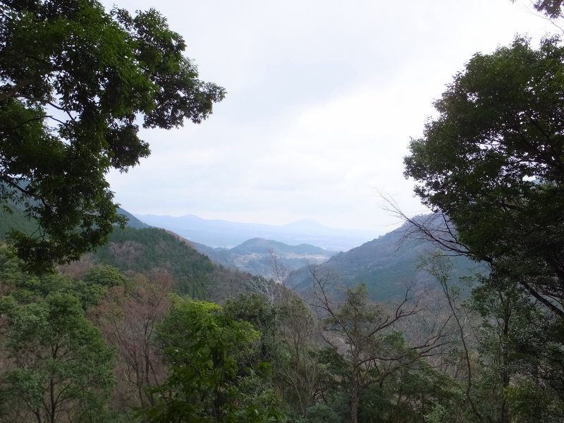 DSCF3461.JPG