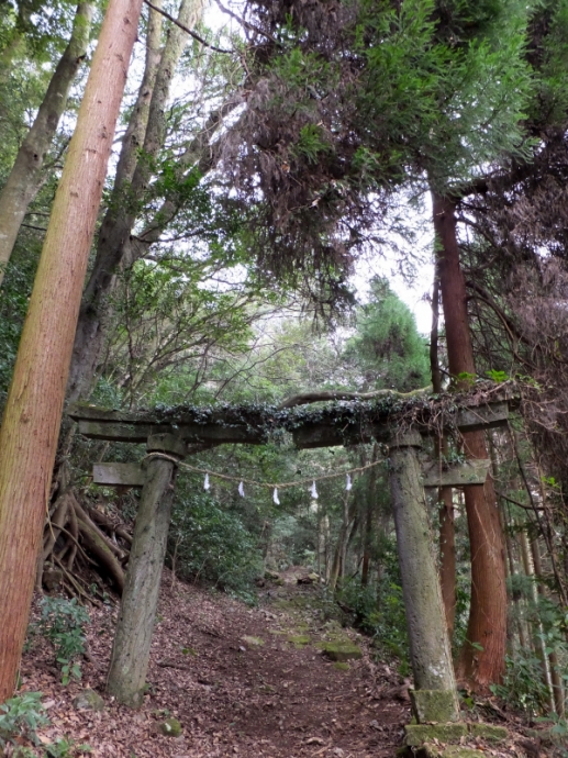 DSCF3468.JPG