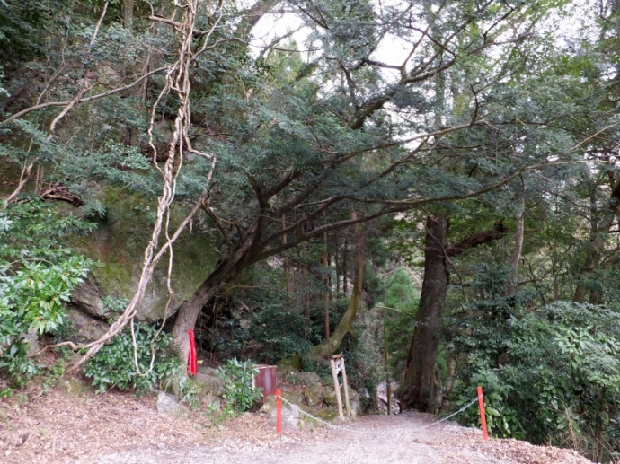 DSCF3473.JPG