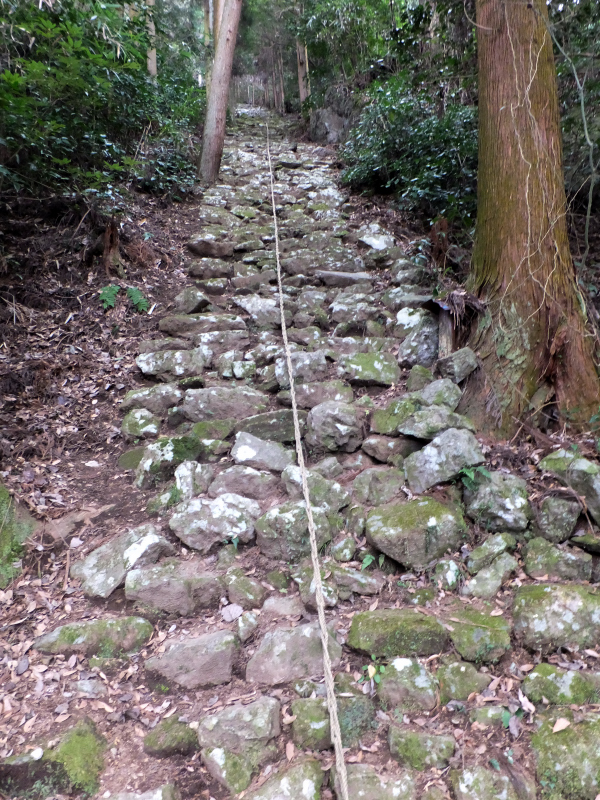 DSCF3484.JPG
