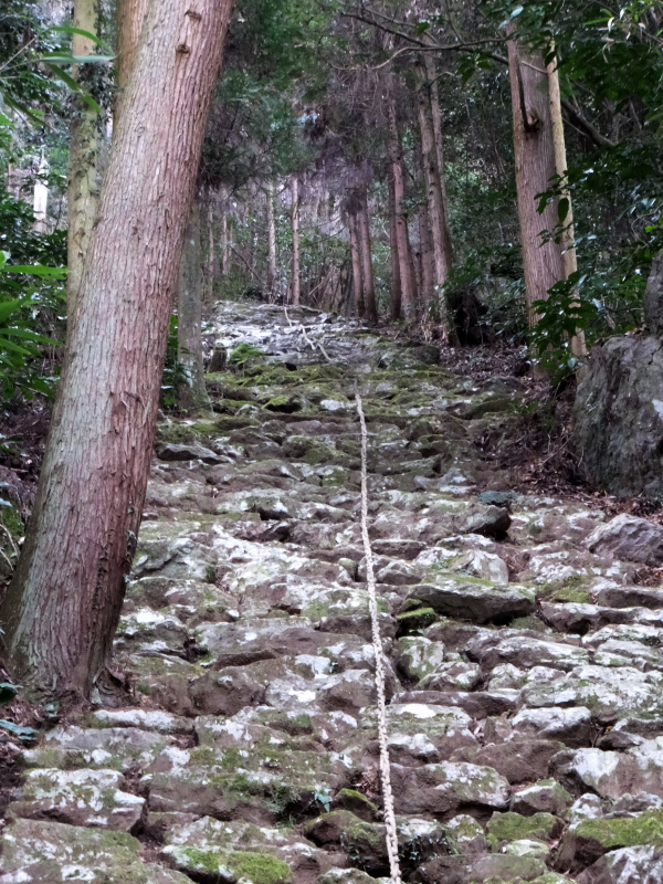DSCF3485.JPG