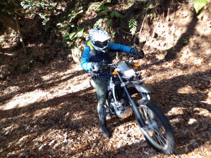 DSCF8012.JPG