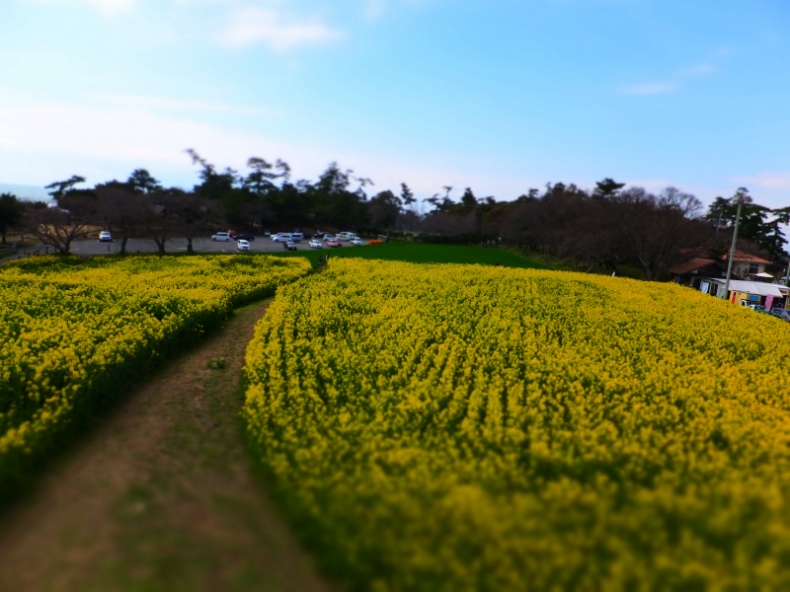 DSCF4356.JPG