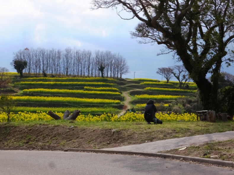 DSCF4391.JPG