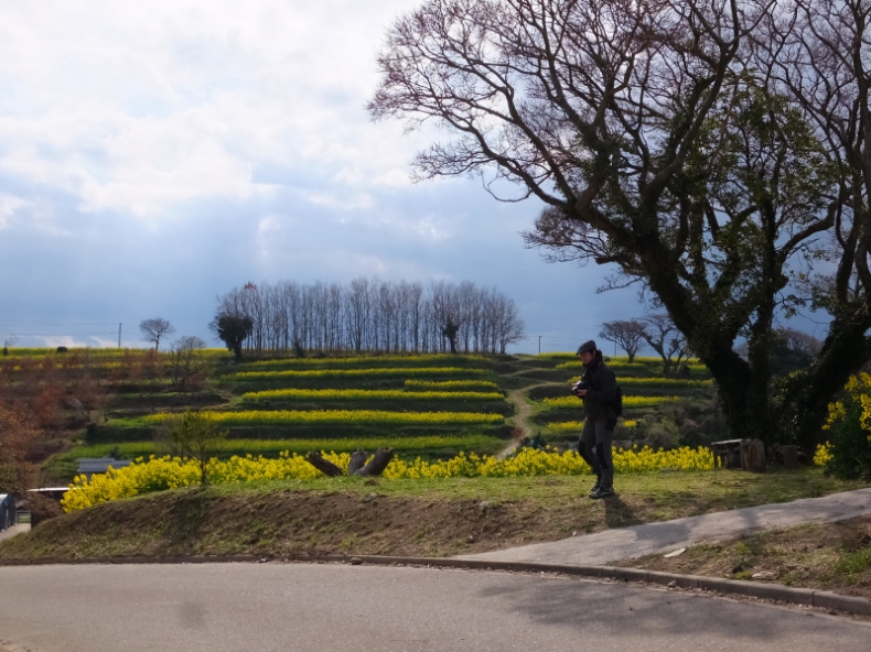 DSCF4393.JPG