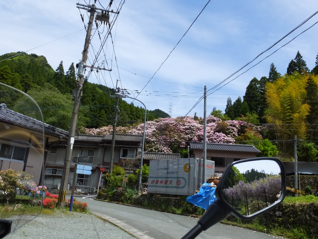 DSCF0836.JPG