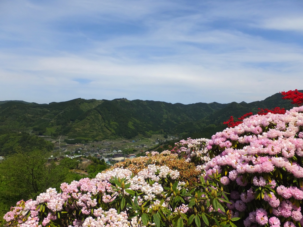 DSCF0844.JPG
