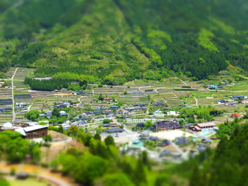 DSCF0846.JPG