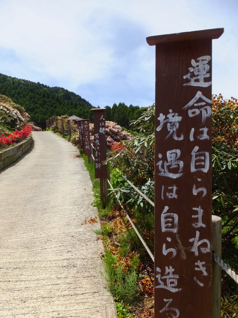 DSCF0859.JPG