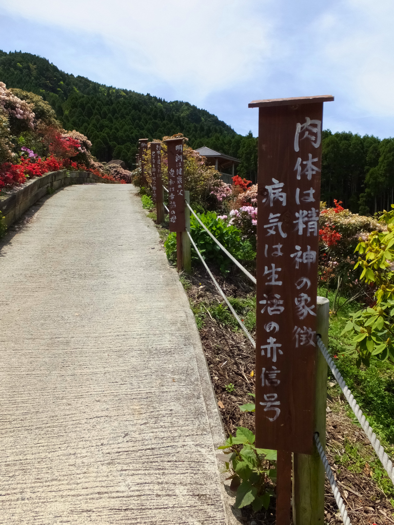 DSCF0860.JPG
