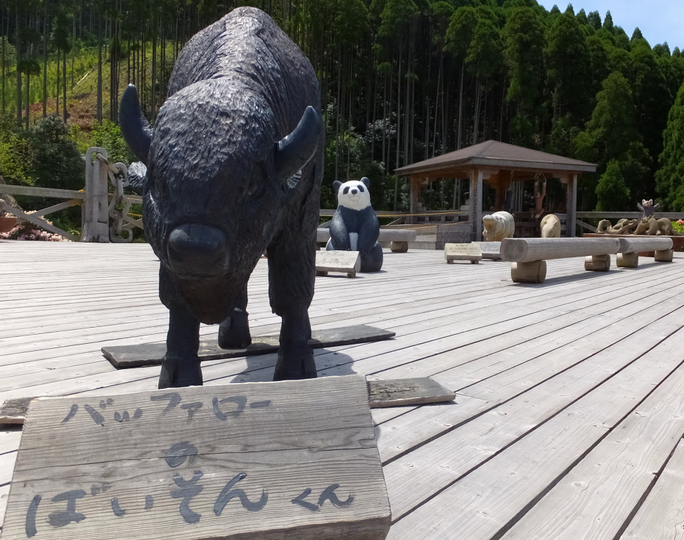 DSCF0871.JPG
