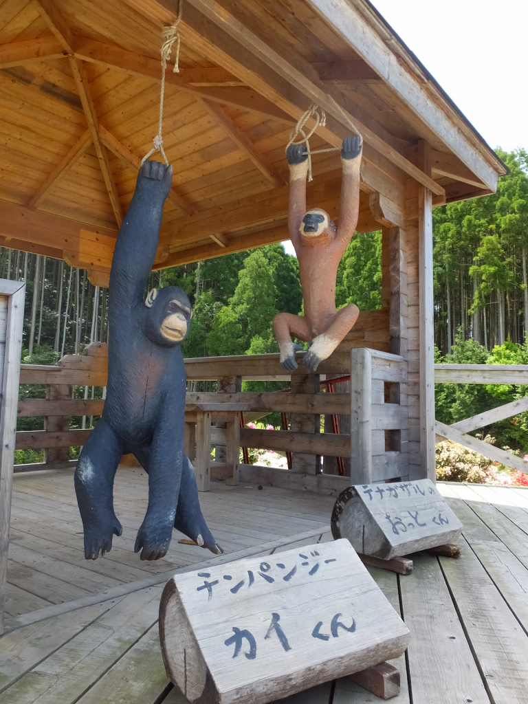 DSCF0873.JPG