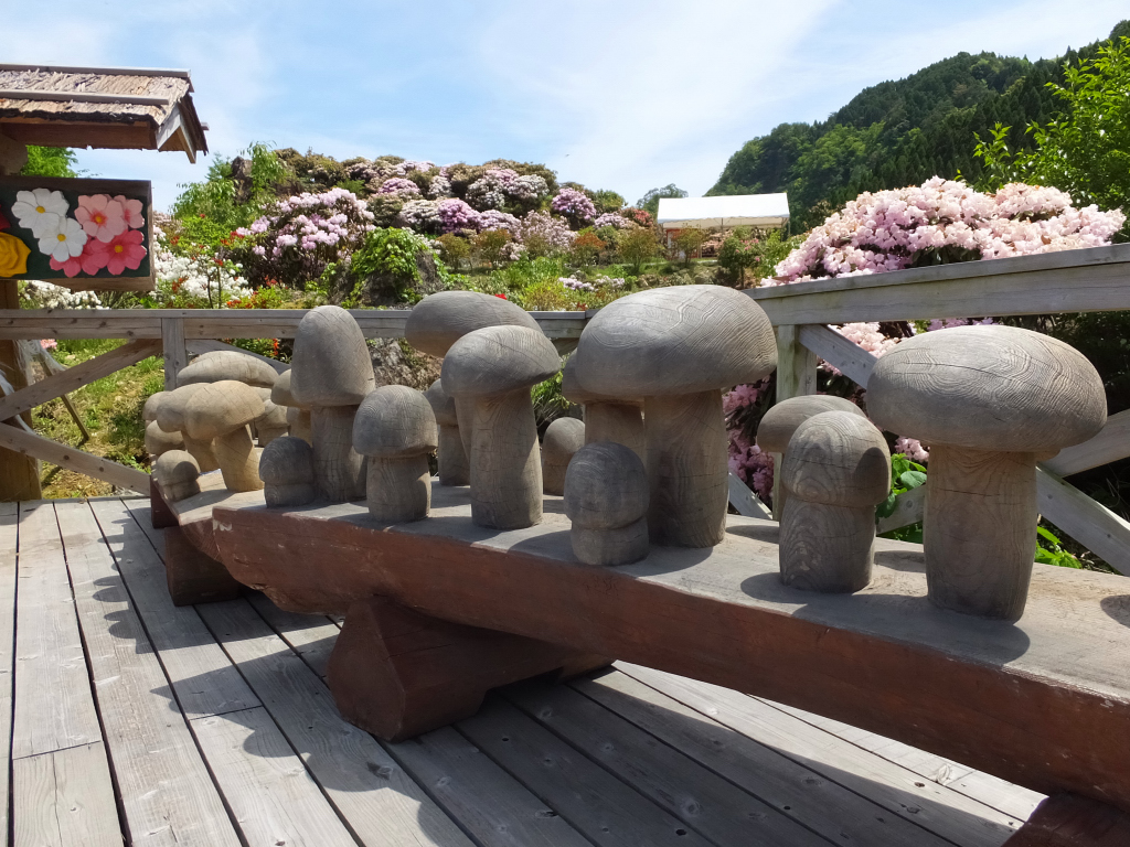 DSCF0880.JPG
