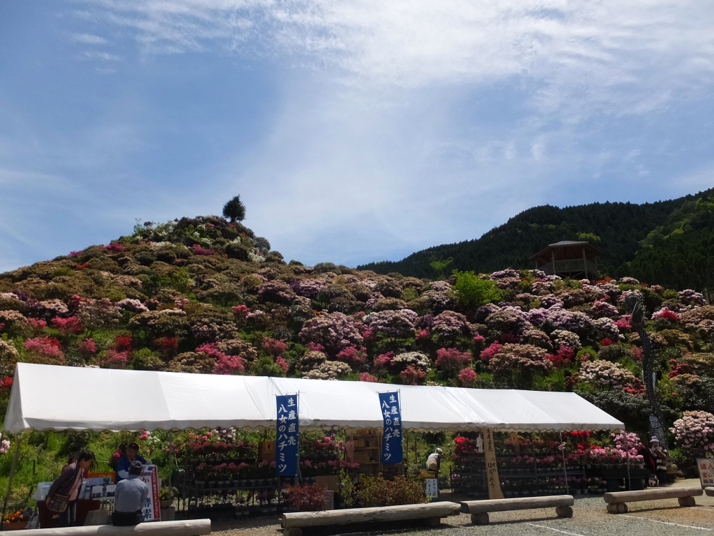 DSCF0891.JPG