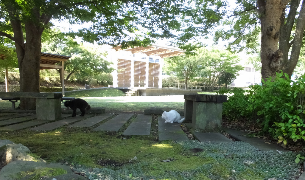 DSCF1830.JPG