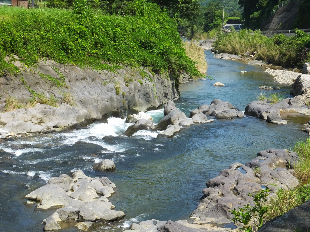 DSCF1838.JPG