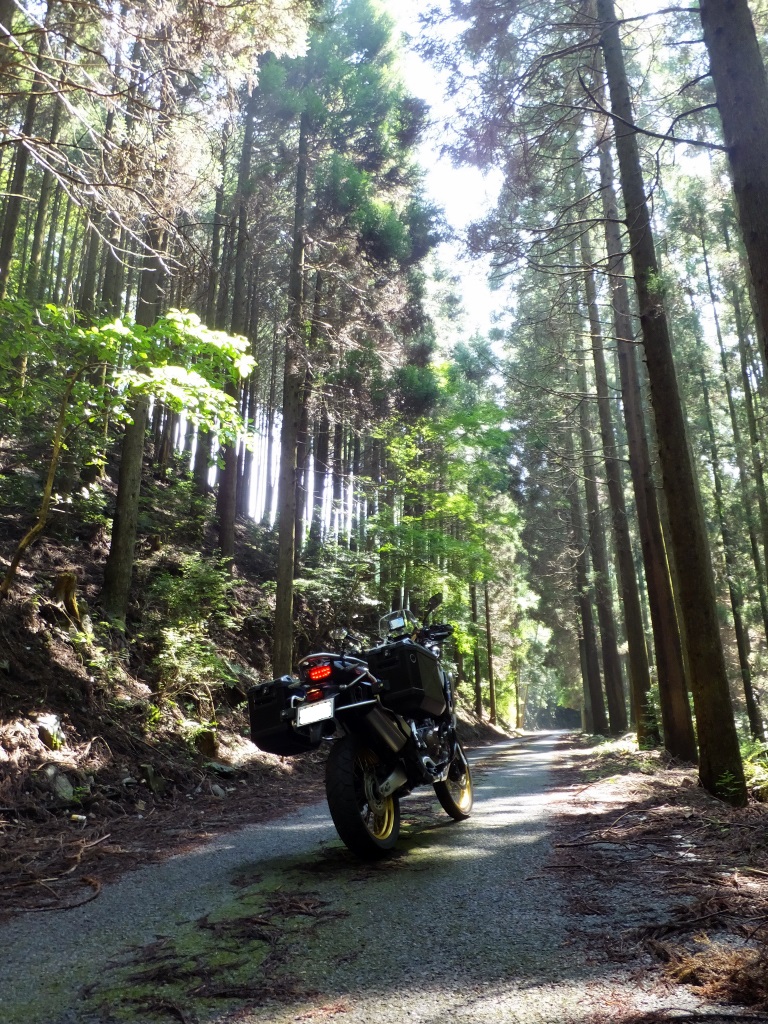DSCF1849.JPG