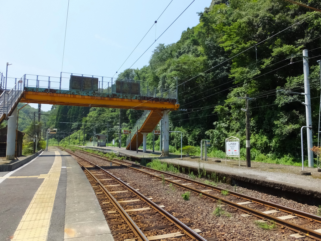 DSCF1861.JPG