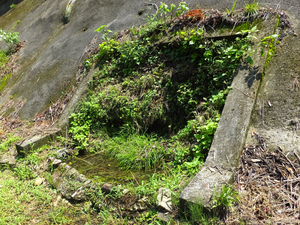 DSCF1891.JPG