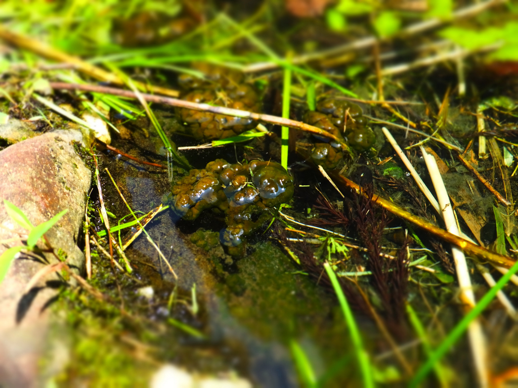 DSCF1893.JPG