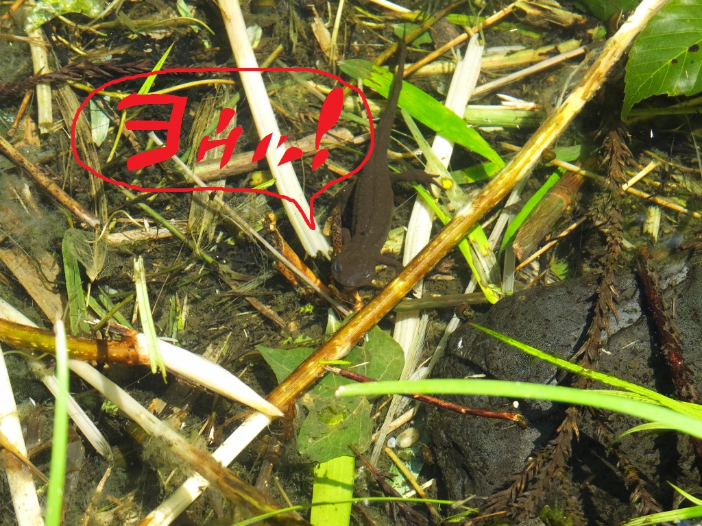 DSCF1894.JPG