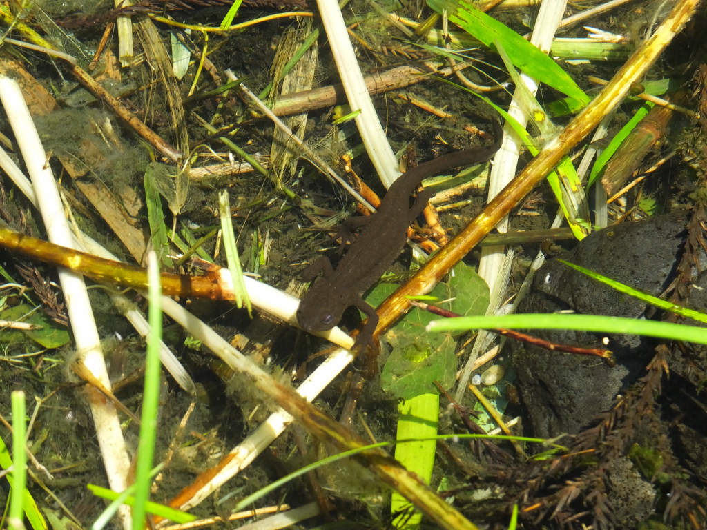 DSCF1895.JPG