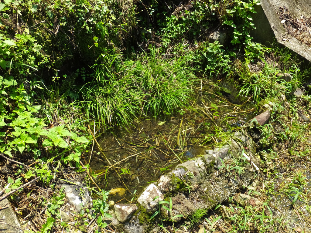 DSCF1898.JPG