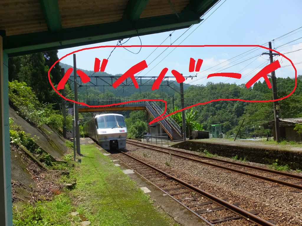 DSCF1919.JPG