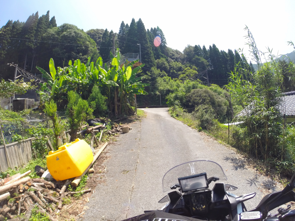 G0054556.JPG